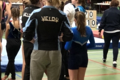 Veldo3
